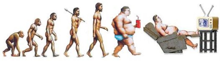 evolucion gordo